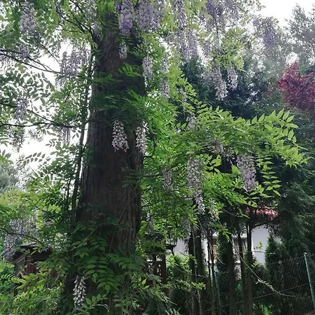 Kaszuby Dom Nad Jeziorem Szczytno Duze Dobrzyn  Exterior photo