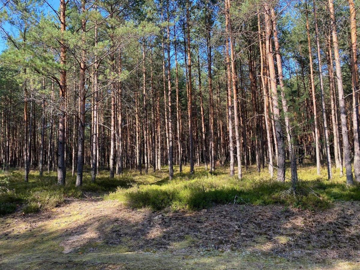 Kaszuby Dom Nad Jeziorem Szczytno Duze Holiday home *