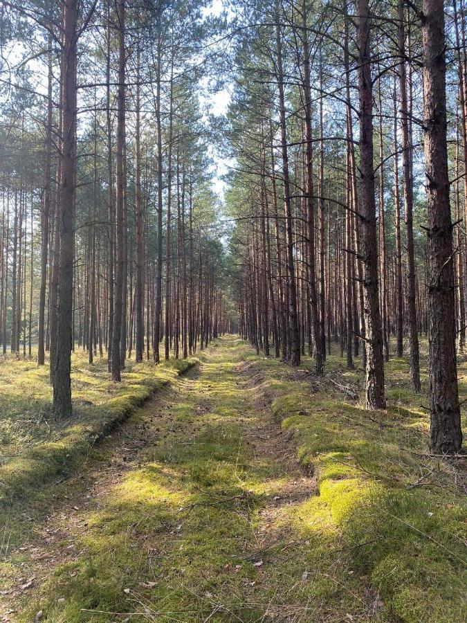 Kaszuby Dom Nad Jeziorem Szczytno Duze Dobrzyn (Pomerania)