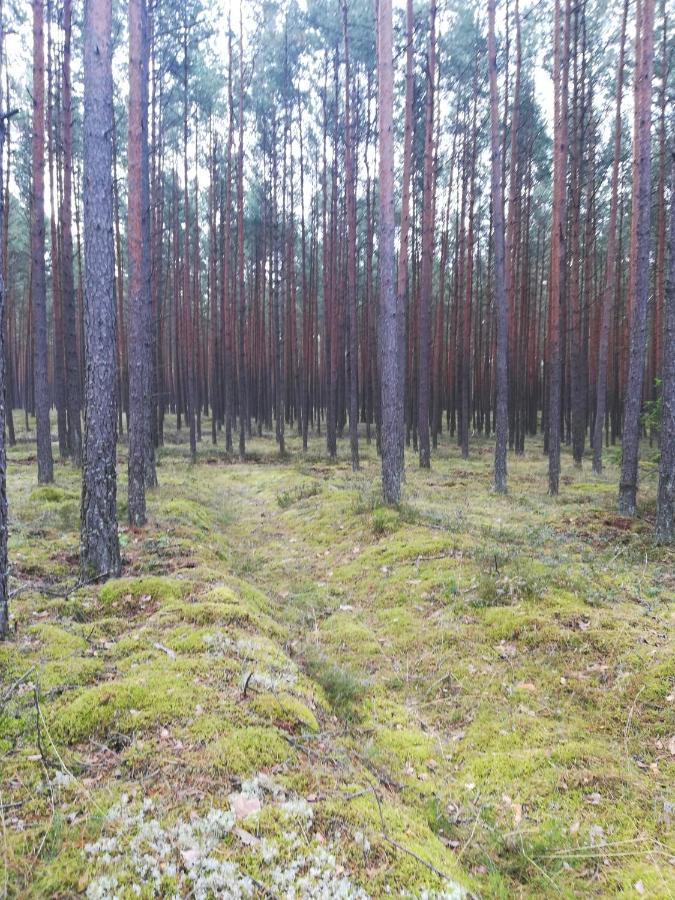 Kaszuby Dom Nad Jeziorem Szczytno Duze * Dobrzyn (Pomerania)
