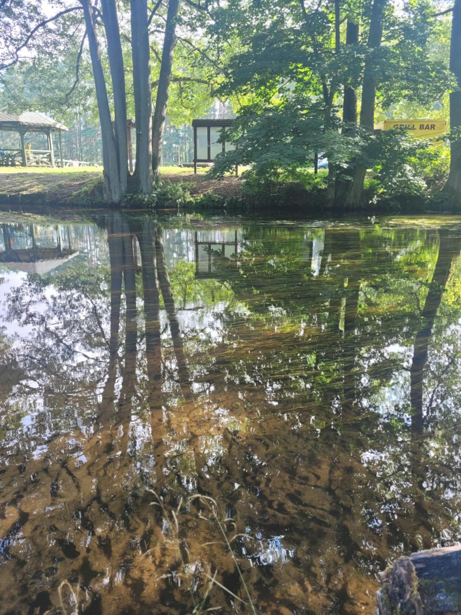 Kaszuby Dom Nad Jeziorem Szczytno Duze Holiday home Dobrzyn (Pomerania)